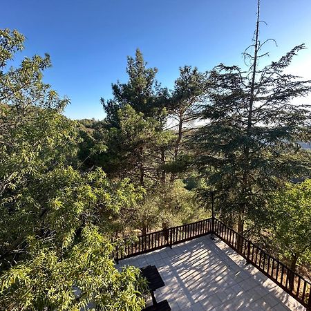 Forest Park Villa Lemithou Екстер'єр фото